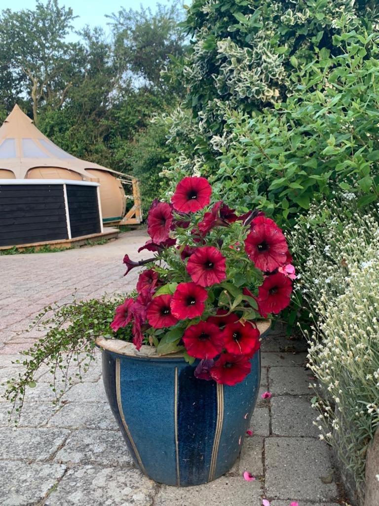 Romantic Luxus Glamping 1 Idestrup Esterno foto